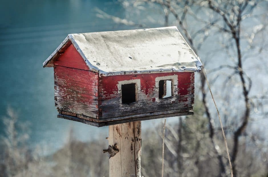 Casita de pájaro